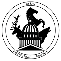 Logo de l'association Assas Protection Animale
