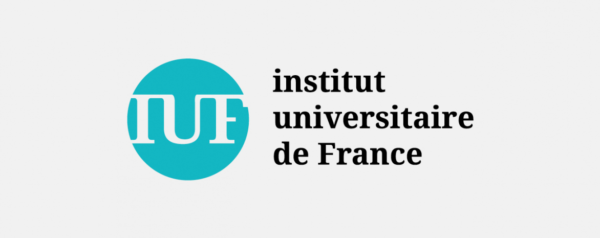 Logo institut universitaire de France