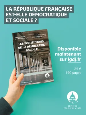 Flyer de l'ouvrage Les institutions de la démocratie sociale