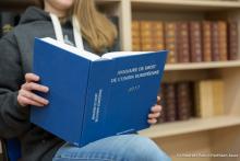 Visuel de présentation de l'annuaire du droit de l'Union européenne 2017