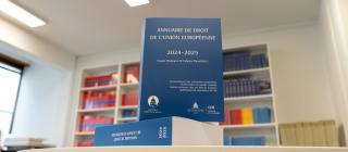 L'Annuaire de droit de l'Union européenne 2024-2025 vient de paraître