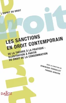 les-sanctions-en-droit-contemporain-vol-3-de-la-theorie-a-la-pratique-illustration-a-partir-du.jpg
