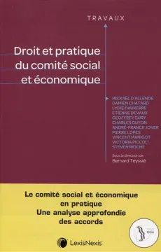 2020_droit_et_pratique_du_comite_social_et_economique.jpg