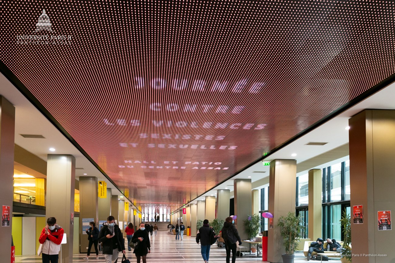 plafond avec message "journée contre les violences sexistes et sexuelles" 